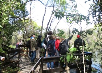 ¿Qué tiene de atractivo el curso de Aves Argentinas que cumple 25 años capacitando?