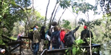 ¿Qué tiene de atractivo el curso de Aves Argentinas que cumple 25 años capacitando?