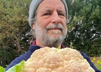 El libro de la huerta: una guía para que la huerta agroecológica sea posible