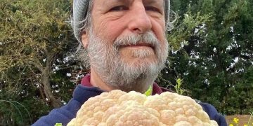 El libro de la huerta: una guía para que la huerta agroecológica sea posible