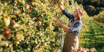 Qué es la agroecología y cuáles son sus 10 mandamientos