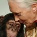 Jane Goodall: la célebre etóloga que dedicó su vida a los chimpancés
