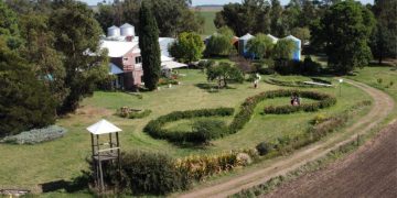 Un innovador proyecto de agricultura ecológica cerca del mar en Tres Arroyos