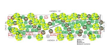 Forestación de árboles nativos en La Plata: de qué se trata y cómo ser parte de este proyecto verde