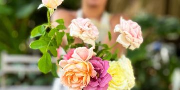 Rosas en el jardín: 15 Consejos para cuidarlas todo el año por Agustina Hilbert