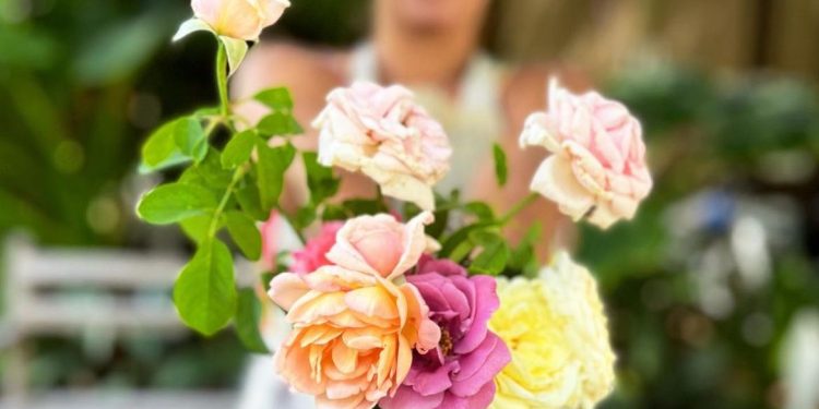 Rosas en el jardín: 15 Consejos para cuidarlas todo el año por Agustina Hilbert