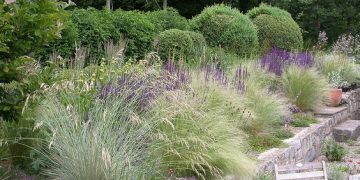 No todo se trata de plantas nativas: una mirada más amplia para el jardín