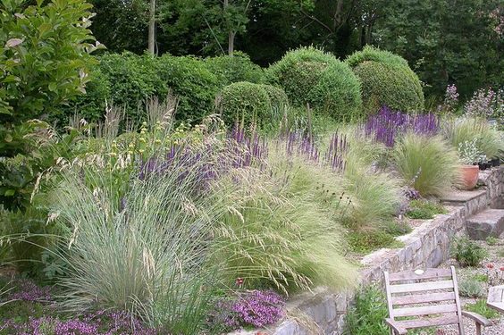 No todo se trata de plantas nativas: una mirada más amplia para el jardín