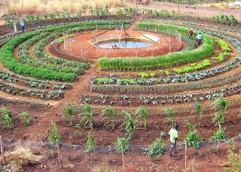 Qué es la permacultura: el sistema de cultivo basado en la producción sustentable