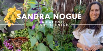 El arte de atraer mariposas: Los talleres de jardinería biodiversa de Sandra Nogué