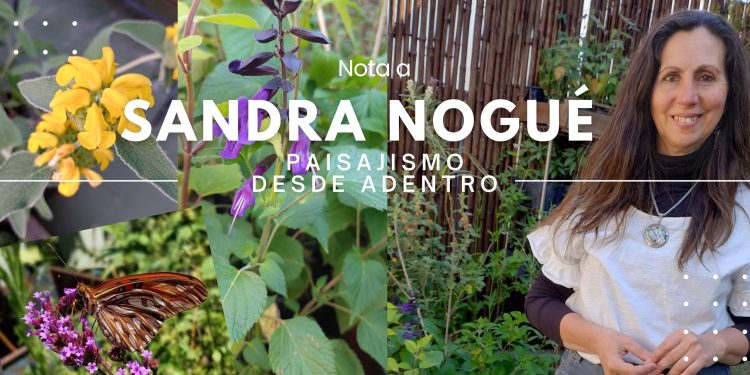 El arte de atraer mariposas: Los talleres de jardinería biodiversa de Sandra Nogué