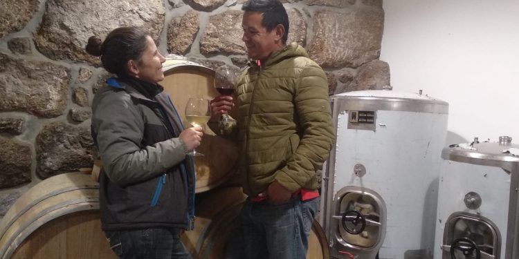 Verde Agua Natureza: una granja orgánica en Portugal, un sueño hecho realidad.