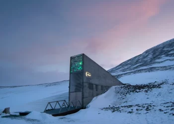 Así es la bóveda del Fin del Mundo: está bajo tierra y guarda más de 1 millón de semillas de todo el planeta