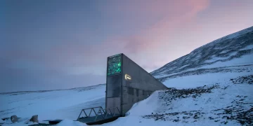 Así es la bóveda del Fin del Mundo: está bajo tierra y guarda más de 1 millón de semillas de todo el planeta