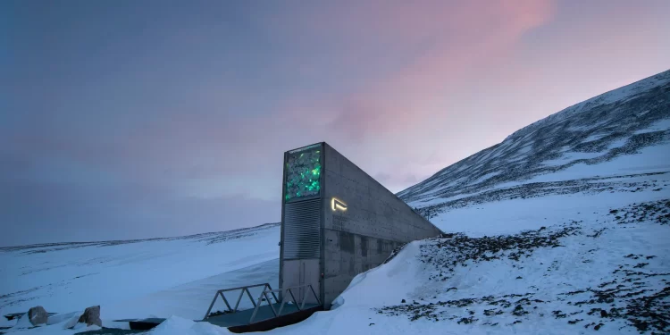 Así es la bóveda del Fin del Mundo: está bajo tierra y guarda más de 1 millón de semillas de todo el planeta