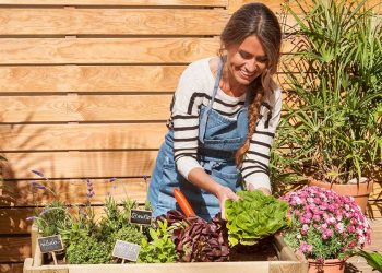 7 beneficios de la jardinería para la salud mental
