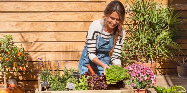 7 beneficios de la jardinería para la salud mental