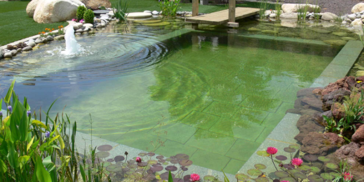 Biopiscinas: naturaleza, diseño y sustentabilidad