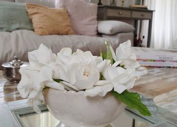 Jazmines: ¿Cómo hidratarlos correctamente para que duren más?