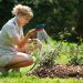 ¿Cuál es la mejor hora para regar tus plantas en verano?