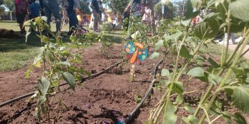 Syngenta y AGD: uniendo biodiversidad entre Villa Cañás y María Teresa