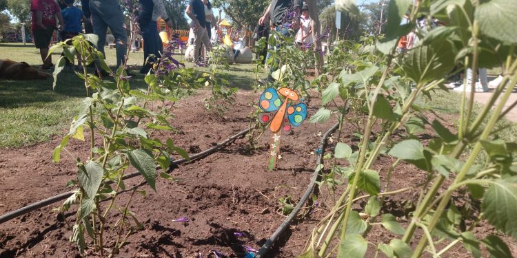 Syngenta y AGD: uniendo biodiversidad entre Villa Cañás y María Teresa