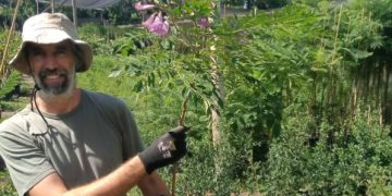 ¿Sabías que hay otro Jacarandá? Descubrí cuál es