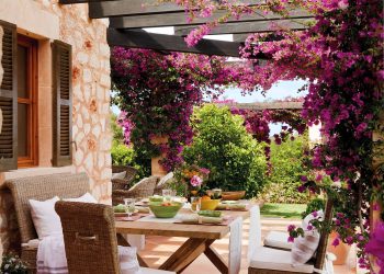 Santa Rita de flores simples: la variedad que florece por más tiempo