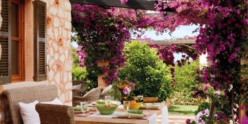 Santa Rita de flores simples: la variedad que florece por más tiempo