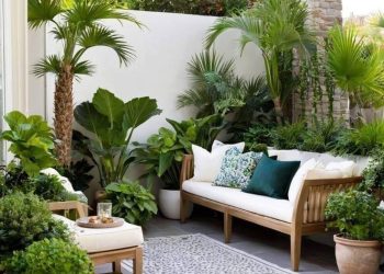Plantas retro: 5 especies que vuelven a ser tendencia para decorar interiores y jardines