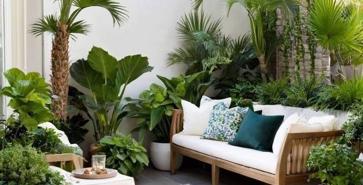 Plantas retro: 5 especies que vuelven a ser tendencia para decorar interiores y jardines