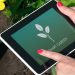 Jardinería SMART: ¿de qué se trata la tendencia que está revolucionando los jardines?