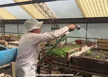 Se jubiló, se unió a un voluntariado en huertas y ahora viaja por Argentina haciendo lo que ama: así es la inspiradora historia de Sandra