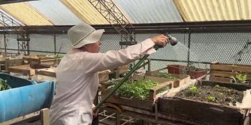 Se jubiló, se unió a un voluntariado en huertas y ahora viaja por Argentina haciendo lo que ama: así es la inspiradora historia de Sandra