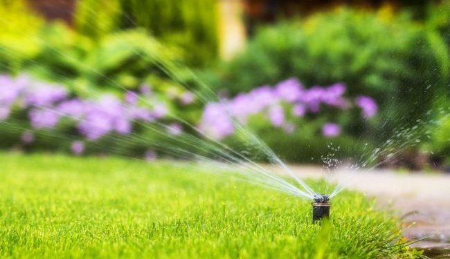 ¿Cómo instalar un sistema de riego eficiente en tu jardín?