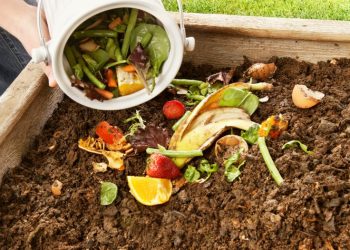 Cómo hacer compost casero sin olor y aprovechar al máximo los residuos