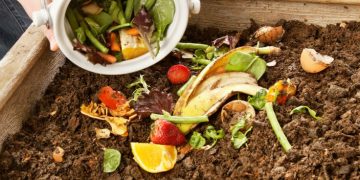 Cómo hacer compost casero sin olor y aprovechar al máximo los residuos