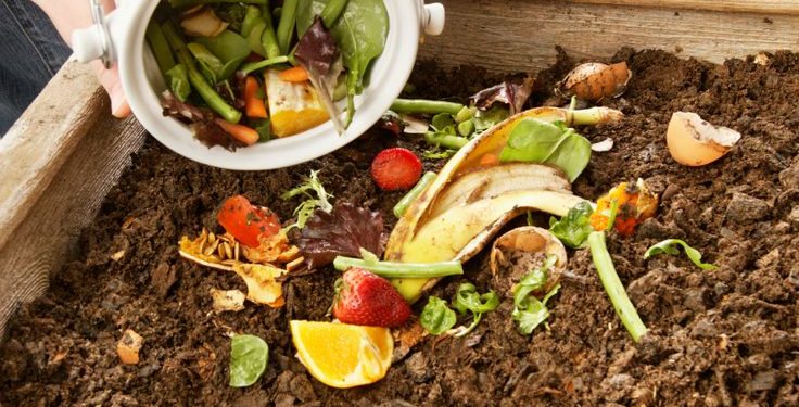 Cómo hacer compost casero sin olor y aprovechar al máximo los residuos