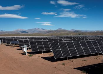 Compromiso con el planeta: Syngenta reduce a cero su huella de carbono con energía renovable