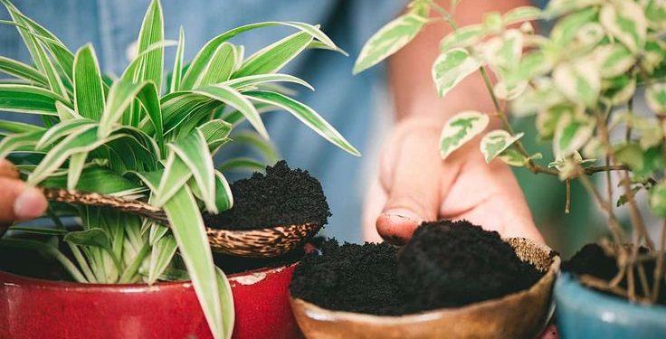 Cómo reutilizar la tierra vieja de tus macetas