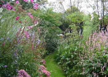 Jardinería sin químicos: tips para un jardín sostenible