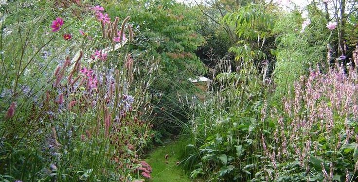 Jardinería sin químicos: tips para un jardín sostenible