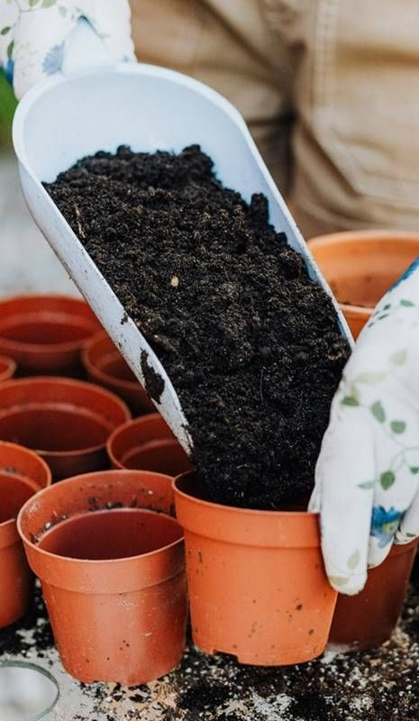 Cómo reutilizar la tierra vieja de tus macetas