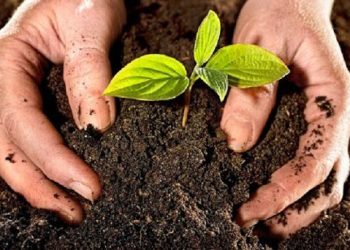 Simposio FERTILIDAD 2025: dos días para analizar el estado de nuestros suelos