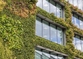 Fachadas verdes: todo lo que tenés que saber sobre esta tendencia en arquitectura y paisajismo