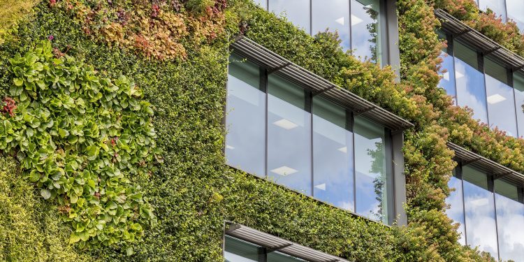 Fachadas verdes: todo lo que tenés que saber sobre esta tendencia en arquitectura y paisajismo