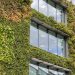 Fachadas verdes: todo lo que tenés que saber sobre esta tendencia en arquitectura y paisajismo