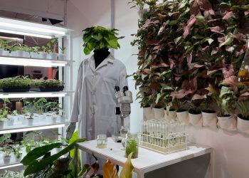 Alta calidad sin depender del clima: el poder del cultivo in vitro