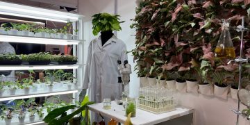 Alta calidad sin depender del clima: el poder del cultivo in vitro