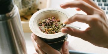 Hierbas aromáticas para el mate: 7 opciones para cultivar en casa